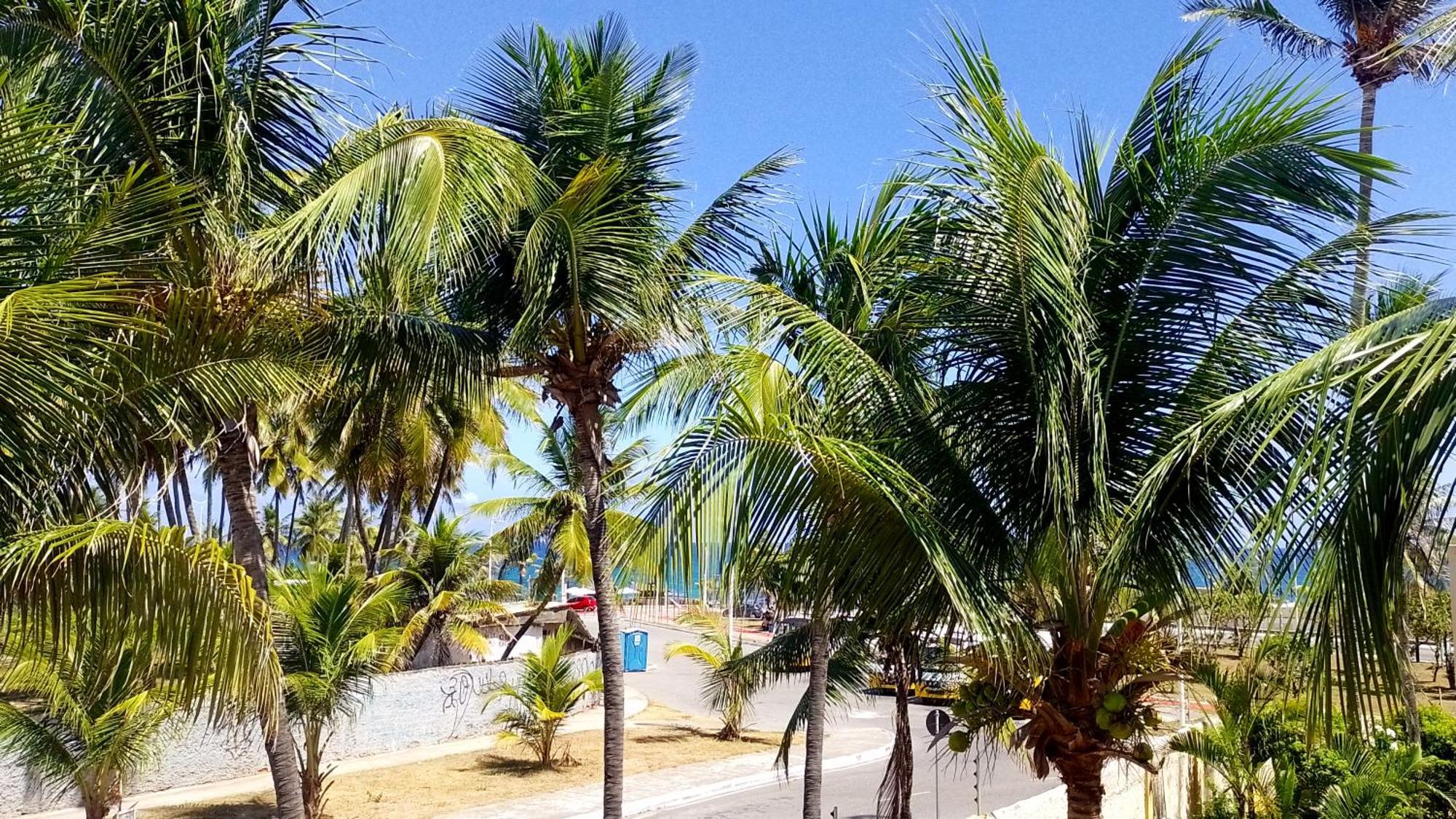 Farol Beach Suites Salvador Exterior foto